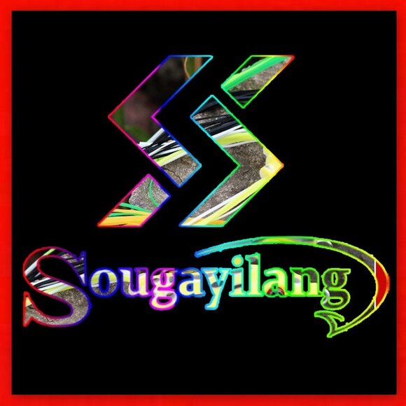 Brand New WJL4000 Fishing Reel by Popular Brand Sougayilang! - Picture 13 of 16